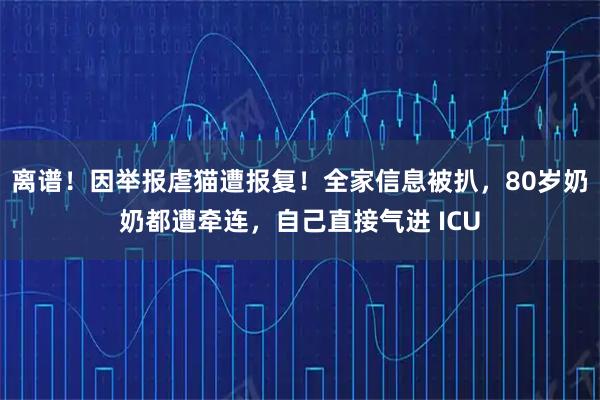 离谱！因举报虐猫遭报复！全家信息被扒，80岁奶奶都遭牵连，自己直接气进 ICU