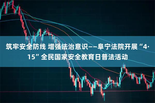 筑牢安全防线 增强法治意识——阜宁法院开展“4·15”全民国家安全教育日普法活动