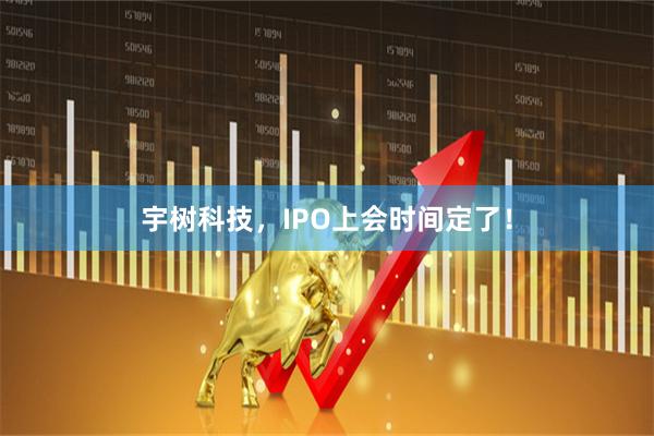 宇树科技,IPO上会时间定了!