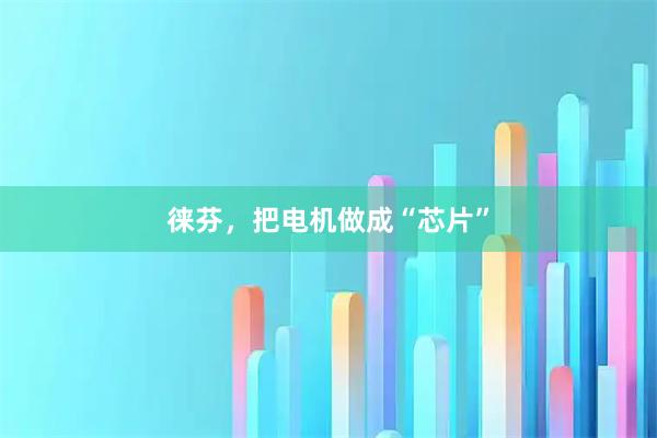 徕芬,把电机做成“芯片”